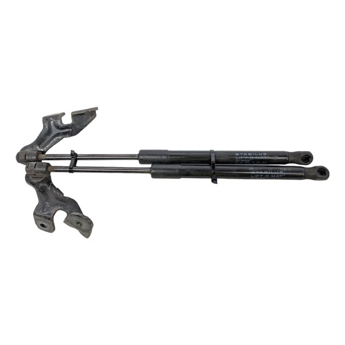 TESLA MODEL 3 BONNET STRUTS RAMS PAIR 2019-2024