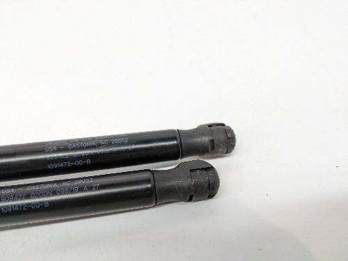 TESLA MODEL 3 BONNET STRUTS RAMS PAIR 2019-2024