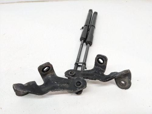 TESLA MODEL 3 BONNET STRUTS RAMS PAIR 2019-2024